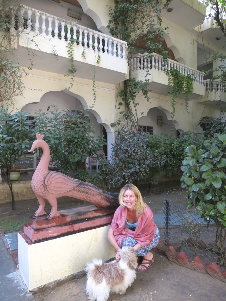 Jen in Jaipur