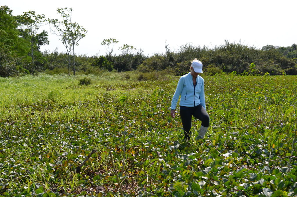 Jen Jedda hunting for Anacondas