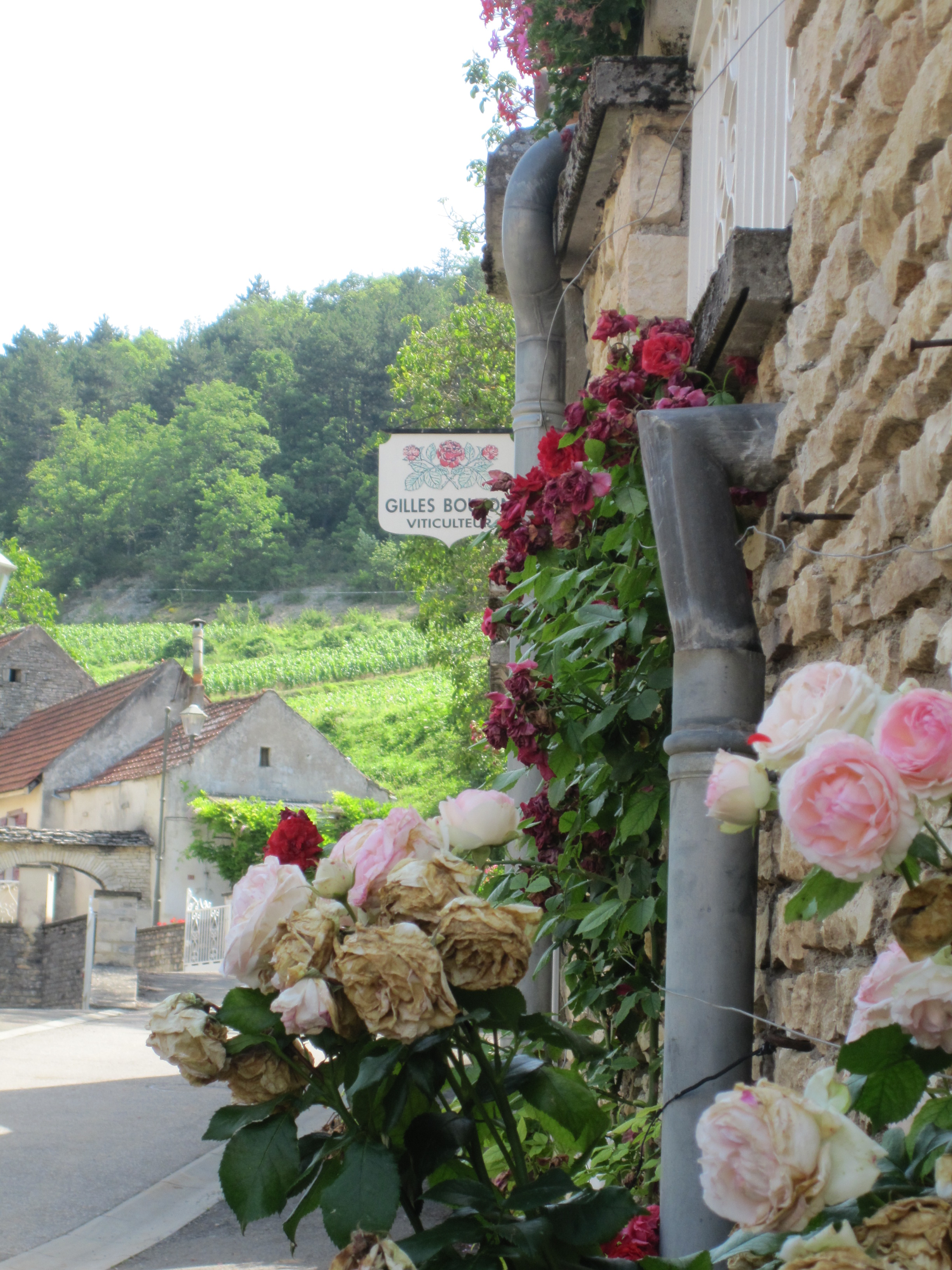 I Heart Bourgogne! Part 1