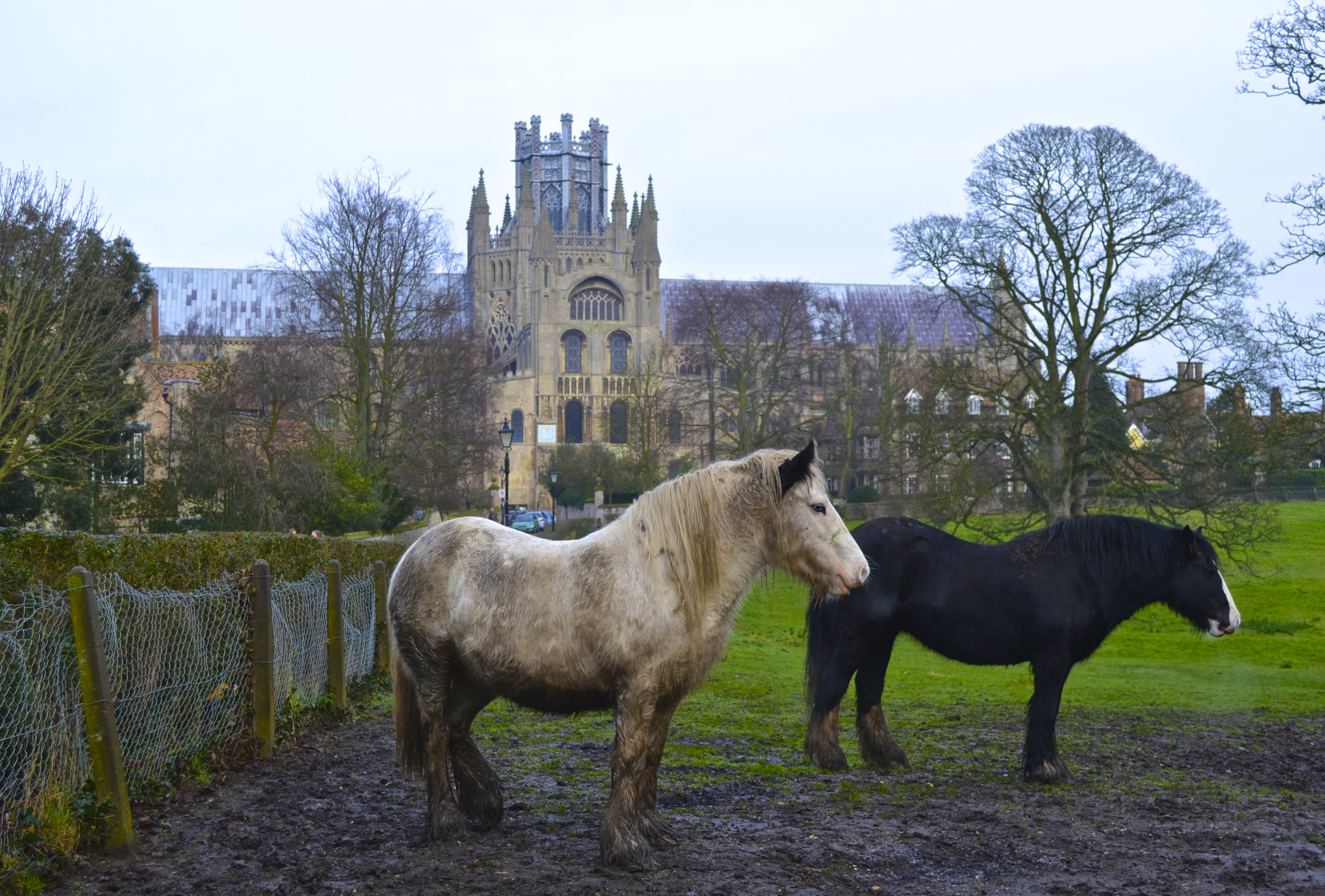 My Jaunt to the English Countryside