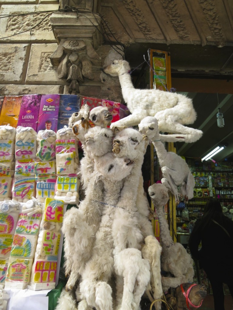 Llama Fetuses in La Paz Witch Market