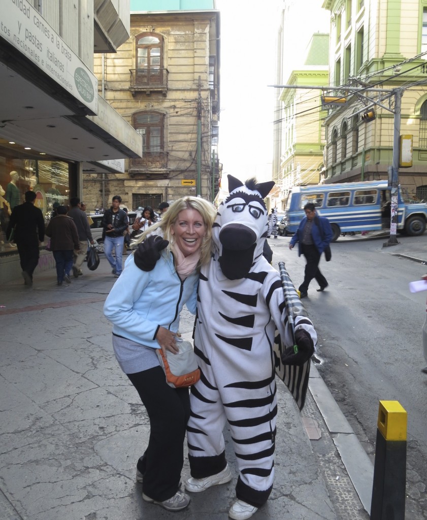 Zebras in La Paz!