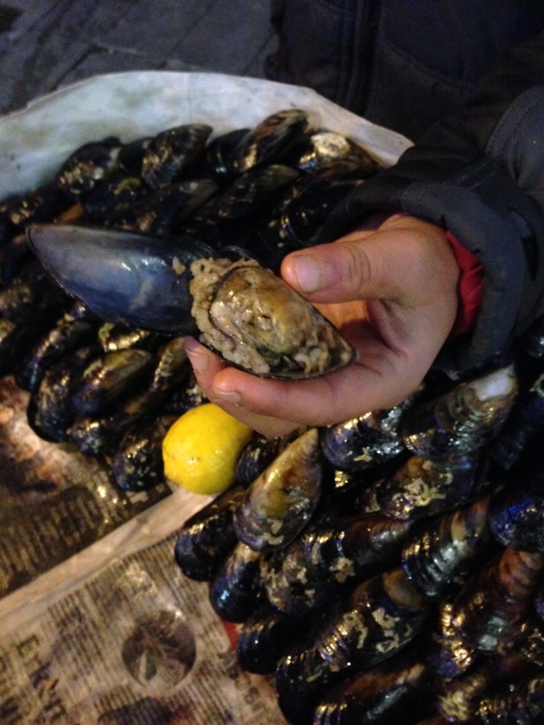 Close up of stuffed mussels 