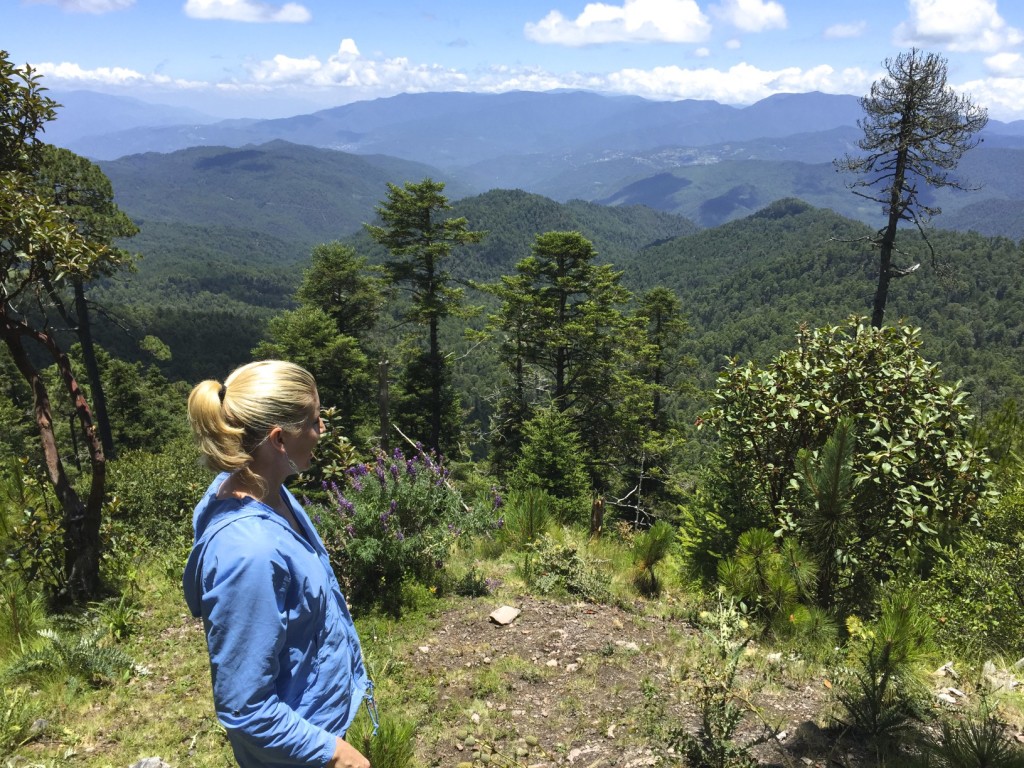 View into Sierra Madres