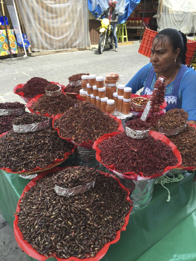 Chapulines vendadora