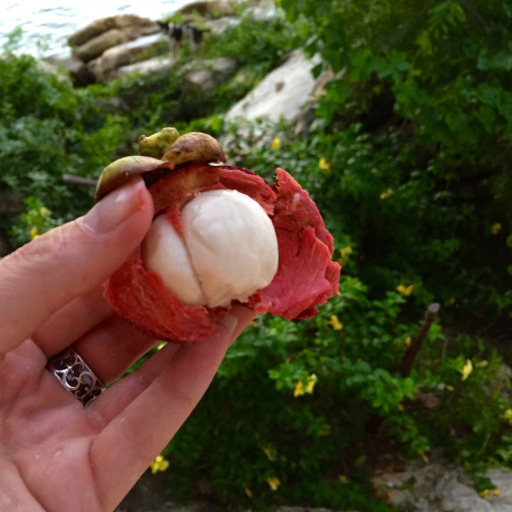 Mangosteen